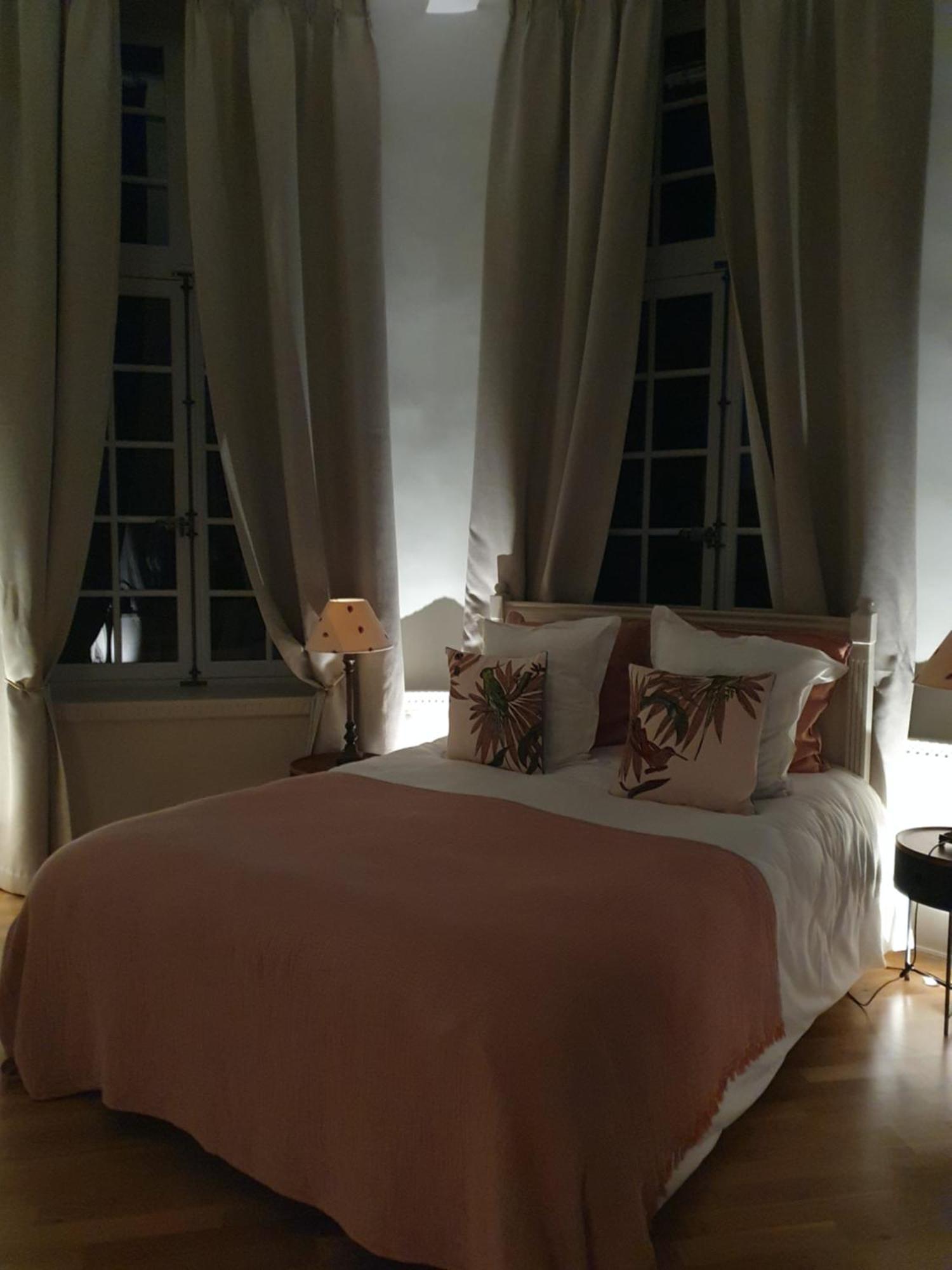 Chambres d'Hôtes Château du Bois de La Noe Bouaye Extérieur photo